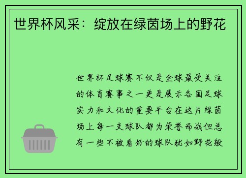 世界杯风采：绽放在绿茵场上的野花